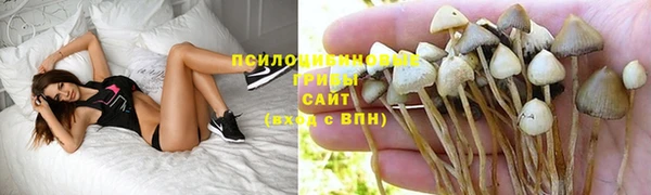 дмт Вязьма