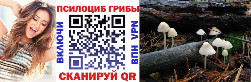 Псилоцибиновые грибы прущие грибы  Вилючинск 