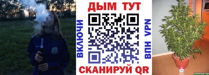 Конопля гибрид наркота Вилючинск